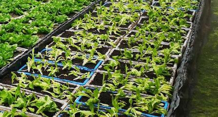測土配方的儀器去哪里買更靠譜？