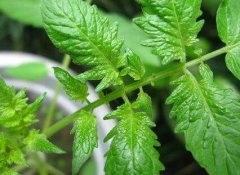 使用測土配方施肥儀這兩個(gè)好處你知道嗎？
